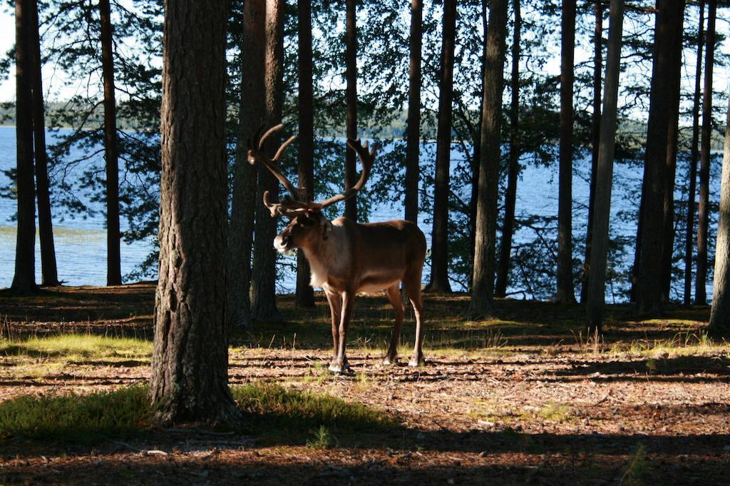 Lohijärven Eräkeskus Hotell Lohijärvi Exteriör bild